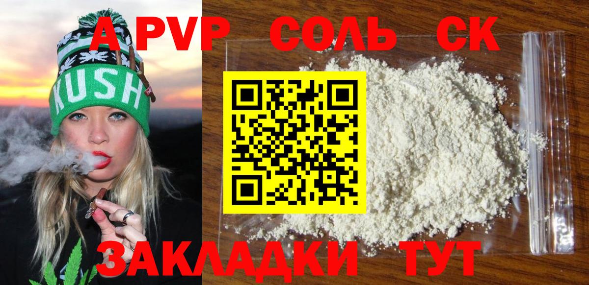 Альфа ПВП СК Ярославль