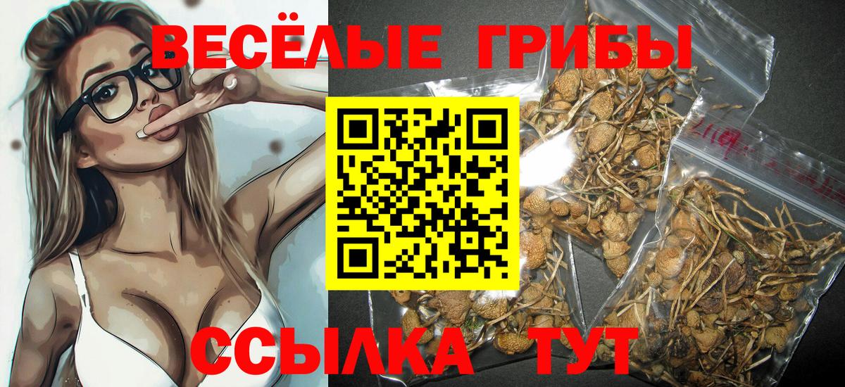 Псилоцибиновые грибы MAGIC MUSHROOMS  Галлюциногенные грибы MAGIC MUSHROOMS  Ярославль  Вход с VPN 