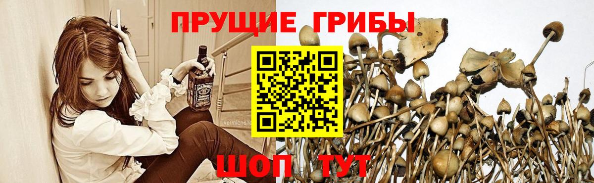 Галлюциногенные грибы мицелий Ярославль
